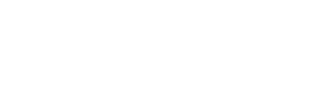 حسین وزوائی